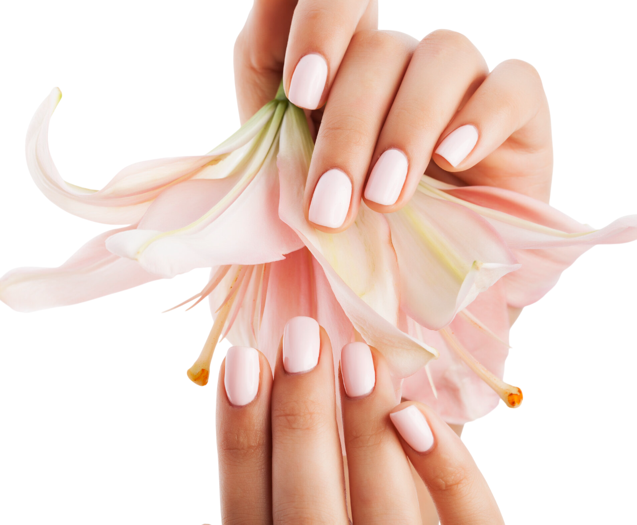 pale fingernail polish manicured hands Photoroom